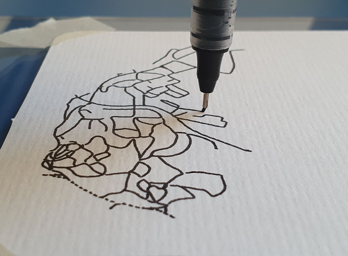 Plotted map