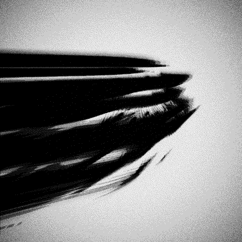 Generative graphics
